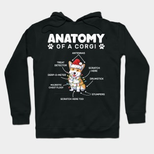 Corgi Anatomy Hoodie